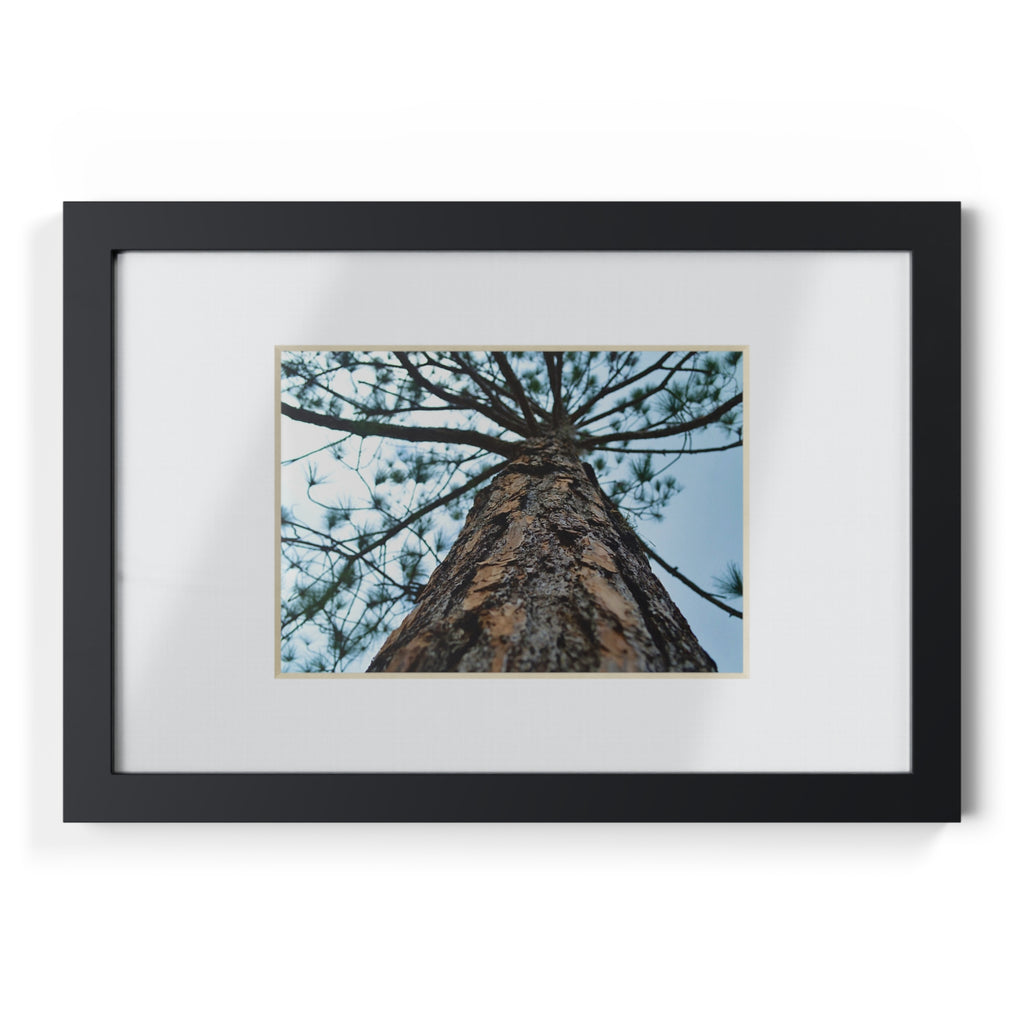 Classic Black Framed Poster, Modern Wall Art, Home Decor, Gift for Nature Lovers, Minimalist Wall Art, Silent Forest Vibe